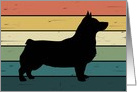 Swedish Vallhund Dog on Retro Rainbow Background card