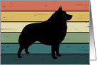 Schipperke Dog on Retro Rainbow Background card