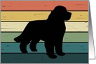 Newfoundland Dog on Retro Rainbow Background card