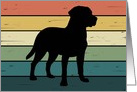 Labrador Retriever Dog on Retro Rainbow Background card