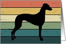 Greyhound Dog on Retro Rainbow Background card