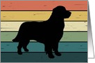 Golden Retriever Dog on Retro Rainbow Background card