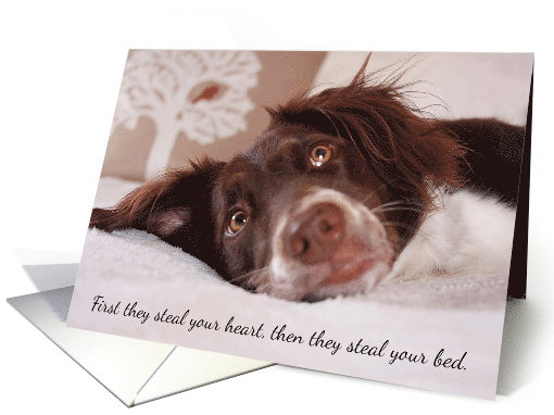 Congratulations, Adopting New Best Friend, Cute Dog card (1467446)