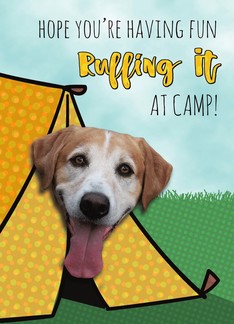 Ruffing It At Camp,...