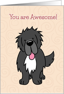 Can’t Thank You E’newf, Newfoundland Dog card