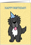 Happy Birthday, Cartoon Newfoundland Dog card