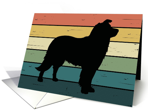 Congratulations on Adoption of Border Collie Dog card (1564064)