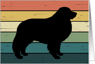 Great Pyrenees Dog on Retro Rainbow Background card