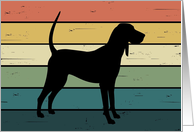 Coonhound Dog on Retro Rainbow Background card