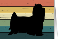 Yorkshire Terrier Dog on Retro Rainbow Background card