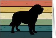 Saint Bernard Dog on Retro Rainbow Background card