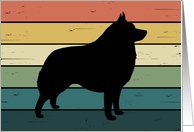 Schipperke Dog on Retro Rainbow Background card