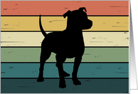 Pit Bull Dog on Retro Rainbow Background card