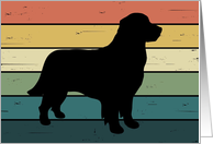 Golden Retriever Dog on Retro Rainbow Background card