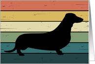 Dachshund Dog on Retro Rainbow Background card
