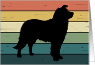 Border Collie Dog on Retro Rainbow Background card