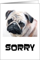 Pug is Sorry, Cute Sad Looking Puppy Dog with a Look of Apology card