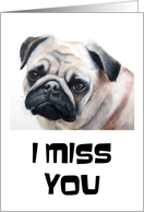 Pug Misses You and...