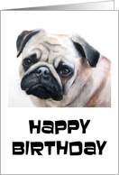 Pugs Happy Birthday,...