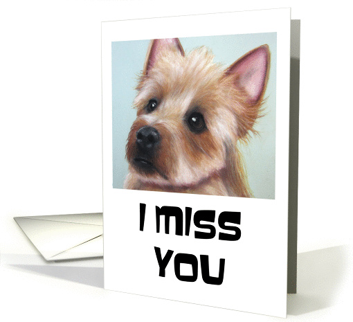 I Miss You With A Cute Sad Eyed Terrier Dog card (1463694)