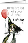 Funny Cat and Bird Happy Birthday Humor card