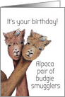 Funny Budgie Bird in Alpaca Birthday Humor Australian card