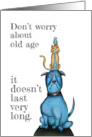 Don’t Worry about Old Age Funny Dog Birthday Humor card