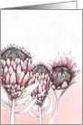 Protea Flower Ink Fine Art Drawing Blank Any Occassion card