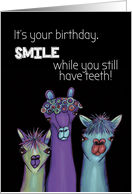 Quirky and Funny Alpaca Birthday Smile while you still have teeth card