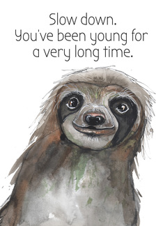 Funny Slow Sloth...
