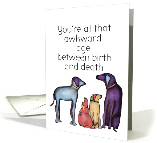 Awkward age Between Life and Death Birthday Dog Humor card (1586152)