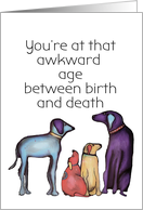 Awkward age Between Life and Death Birthday Dog Humor card