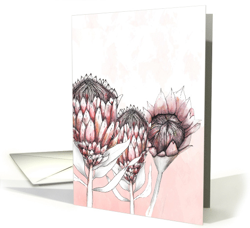 Protea Flower Ink Fine Art Drawing Blank Any Occassion card (1586632)