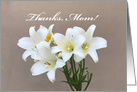 Mother’s Day Card with Picture of Lilly’s card