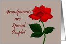 Grandparents Day Card Grandparents Are Special People card