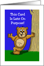 Belated Birthday Card With Cartoon Bear - Late On Purpose card