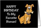 Humorous Birthday Card With a Cartoon Dog To My Favorite Human card