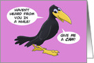 Humorous Hi/Hello Card With A Cartoon Crow Give Me A Caw! card