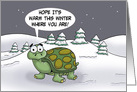 Winter Season Card With A Cartoon Tortoise In A Snowy Scene card