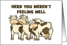 Humorous Get Well Card With Cows Herd You Weren’t Feeling Well card