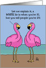 Birthday Card With Two Cartoon Flamingos White Lie Bold Lie card