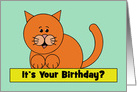 Cute Birthday Card With Cartoon Cat It’s Your Birthday No Kitten? card