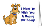 Humorous Birthday Card From The Dog Sorry About Poop In Kitchen card
