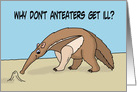 Funny Get Well Card Why Don’t Anteaters Get Ill? card