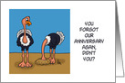 Humorous Blank Note Card With Ostriches Forgot Anniversary card