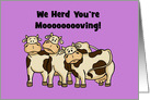 Congratulations Card For New Home We Herd You’re Moooving card
