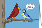 Humorous Adult Hello Card With Two Birds I&rsquo;m A Titwillow card