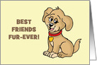 Humorous National Dog Day With Cartoon Dog Best Friends Fur-Ever card