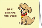 Humorous Love Your Pet Day With Cartoon Dog Best Friends Fur-Ever card