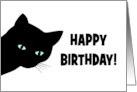 Humorous Birthday From The Cat Left Your Present In Litter Box card